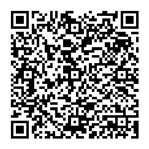 Draft Quality Standards for Human Research Ethics Committees and their Host Institutions qrcode