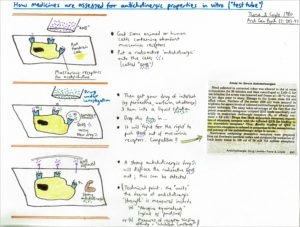 Troubled reality of anticholinergic burden scales - Featured Image