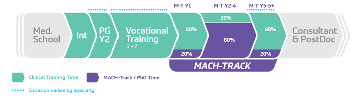 Training tracks for future clinician researchers - Featured Image