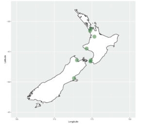 Reality check: inactive placebo use is rare in Australian general practice - Featured Image