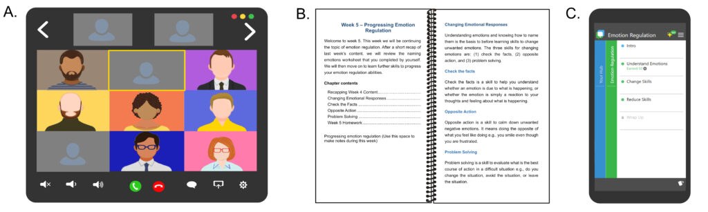 Pain and Emotion Therapy Image A zoom sessions B workbook C app 1 1024x307