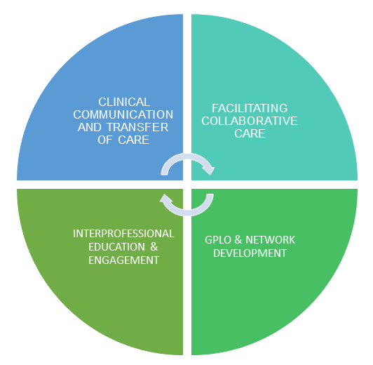 QGPL Image 1 The four domains of the work plan of the QGPL Network
