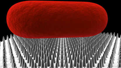 Insect Rod Effect InSight+ | How insect wings could help fight drug-resistant bacteria