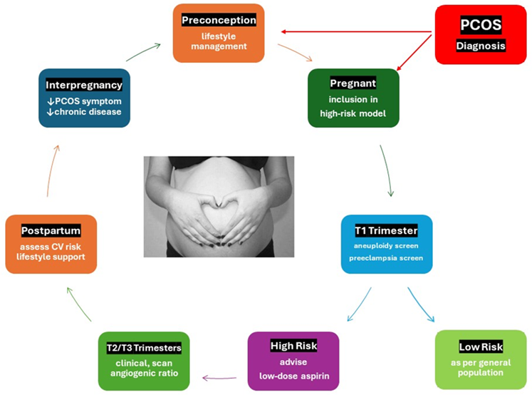 Pcos1