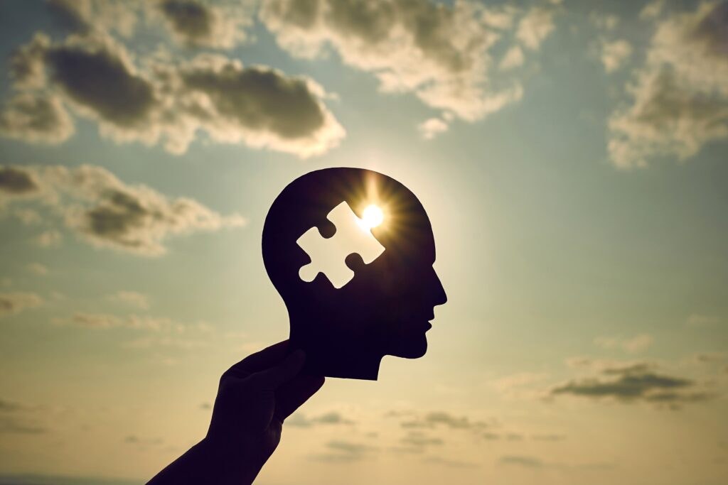 Shutterstock 2314656001 1024x683