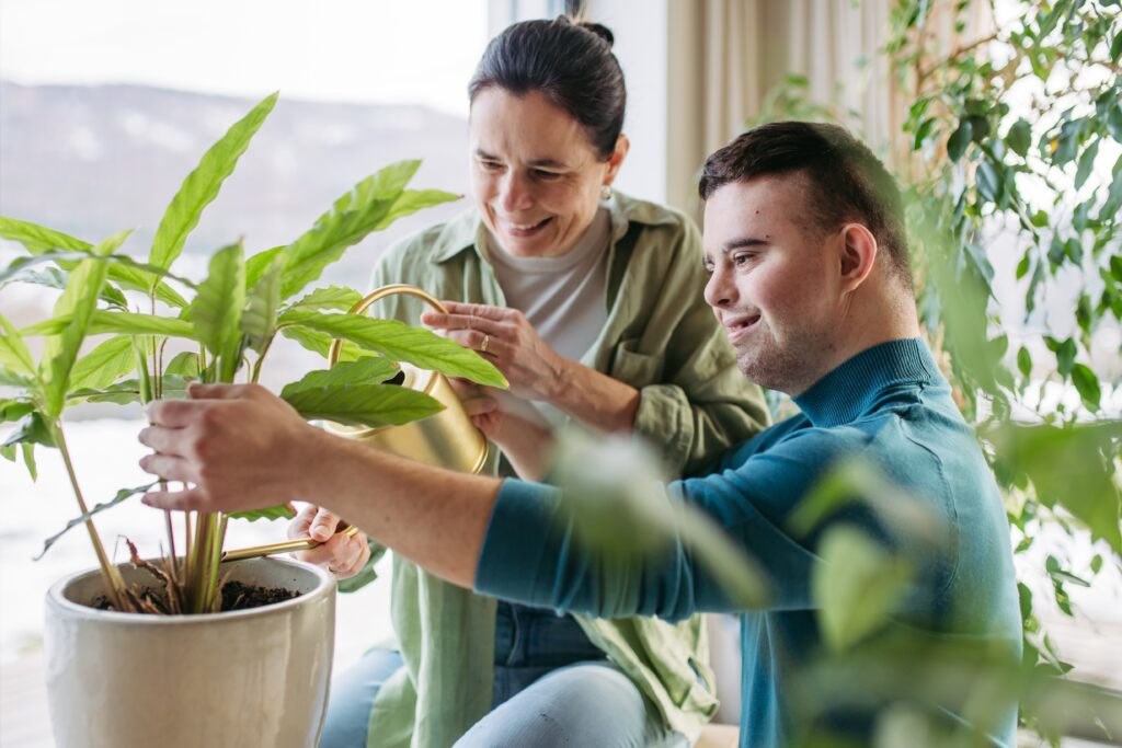 Shutterstock 2427186197 1024x683
