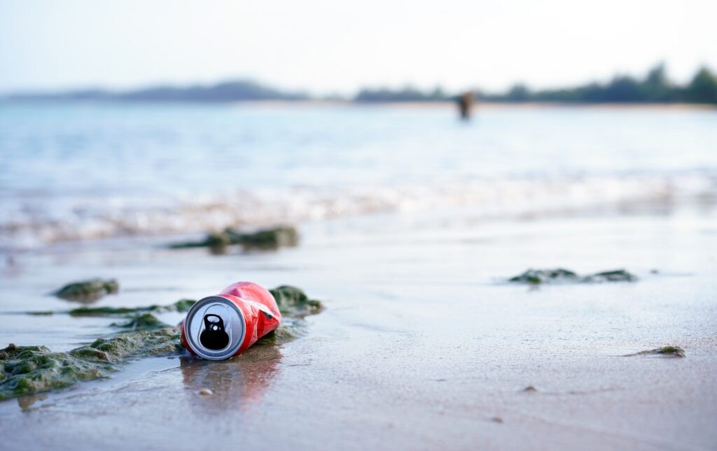 Shutterstock 2446577613 1024x645