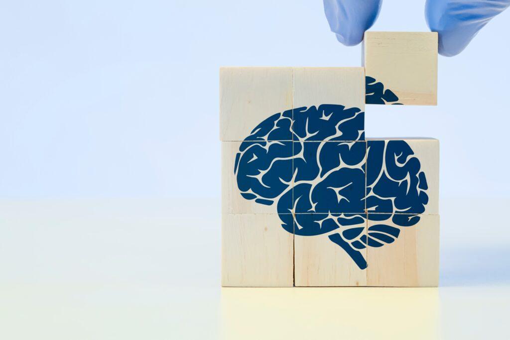 Shutterstock 2447638455 1024x683