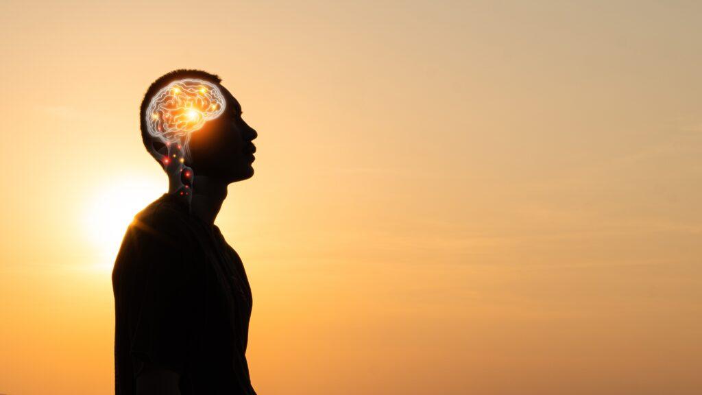Shutterstock 2455361811 1 1024x576