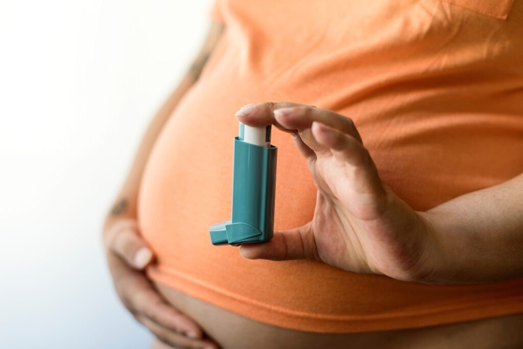 Shutterstock 2492509727 1024x683