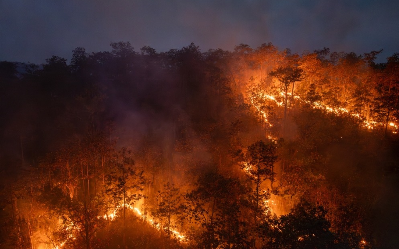 Wildfire burning through a dense forest at night, with bright orange flames spreading across the landscape and thick smoke rising into the dark sky. Trees are silhouetted against the fire as the blaze moves along the forest floor and hillside.