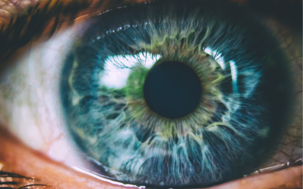 Hidden societal cost of inherited retinal disease  - Featured Image