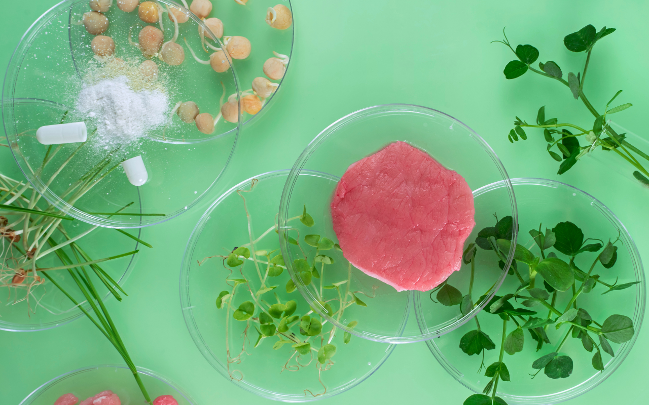 Innovating for food security: race against hunger as world population rises - Featured Image