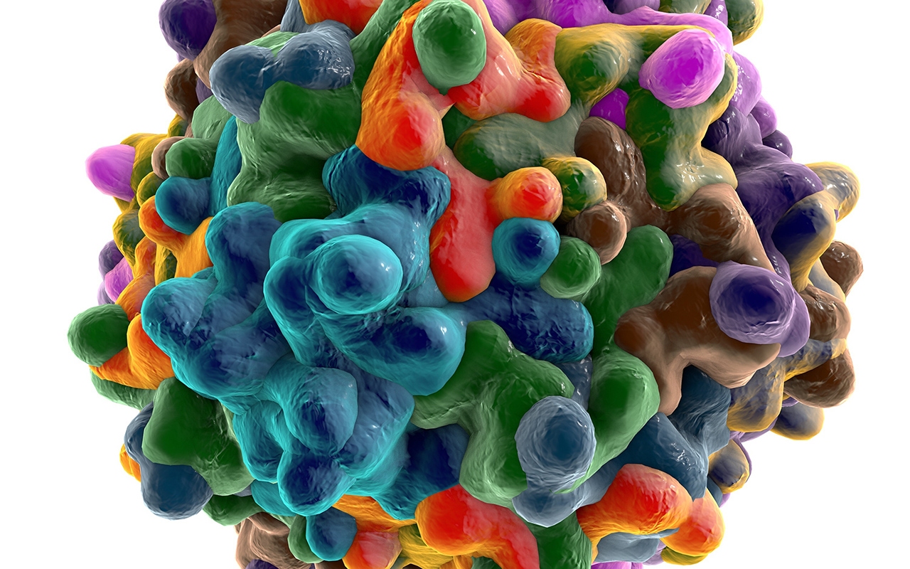 Adeno associated virus 2022