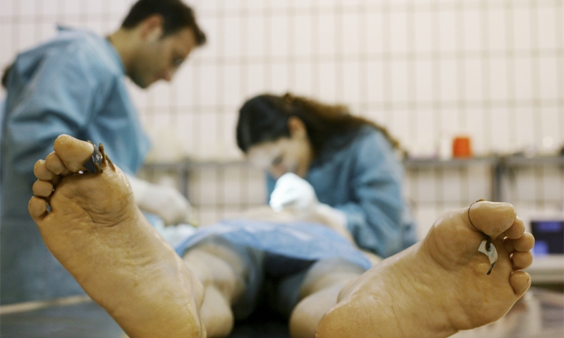 Autopsy nears “extinction” - Featured Image
