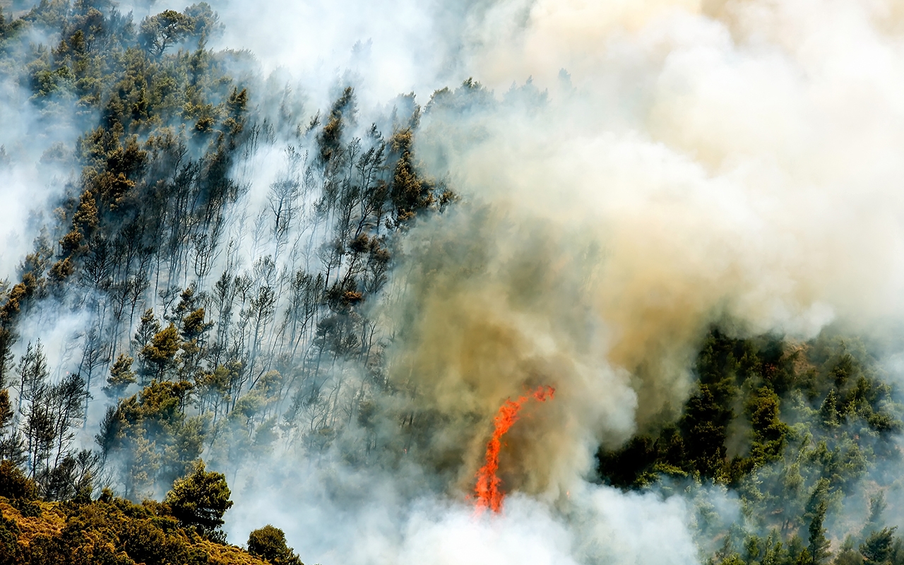 Bushfire smoke 417 deaths attributable to summer fires 168