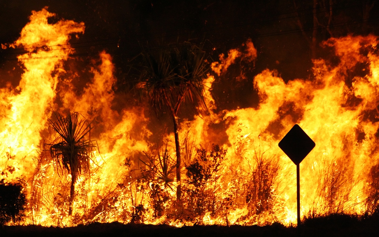 Bushfires and risk of acute coronary syndromes - Featured Image
