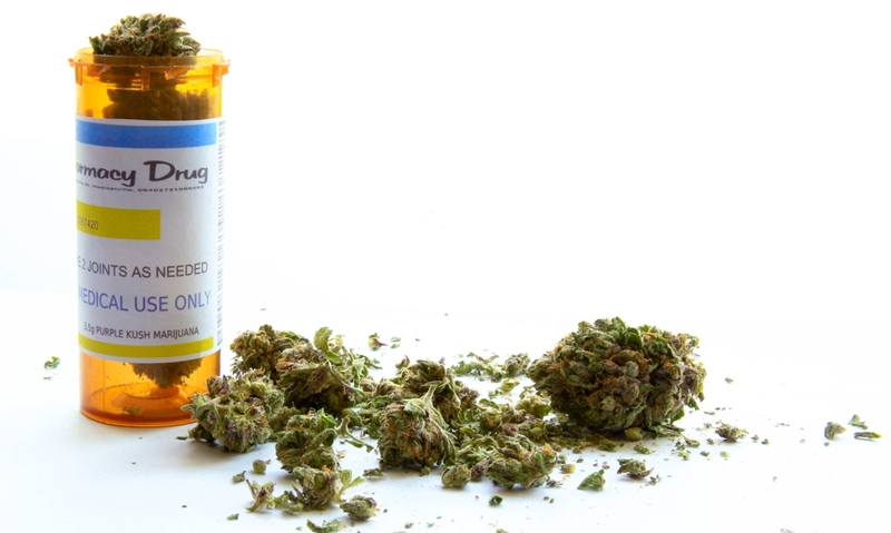 Calls for cannabis trials grow - Featured Image