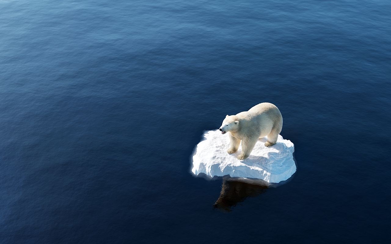 Climate change 2021