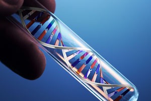 Dna large