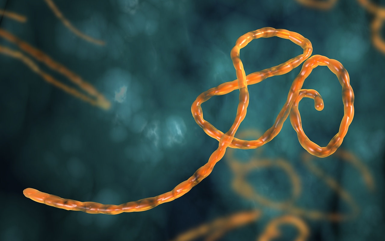 Ebola 2019