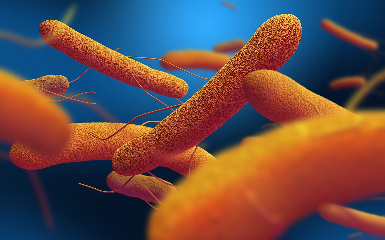 First case of xdr typhoid travelling patients a red flag for gps 488