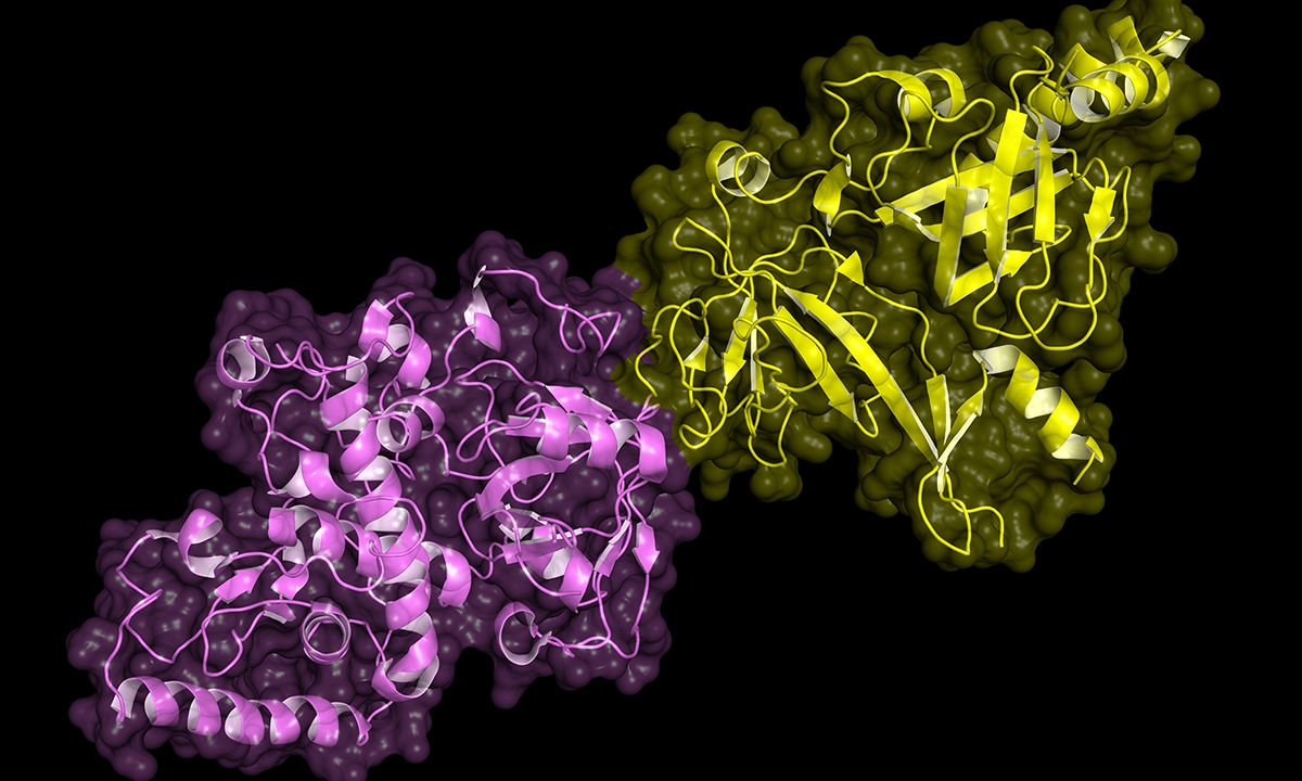 Gene testing for brca1 and brca2 guidelines catch up to practice 607