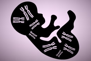 Genes large