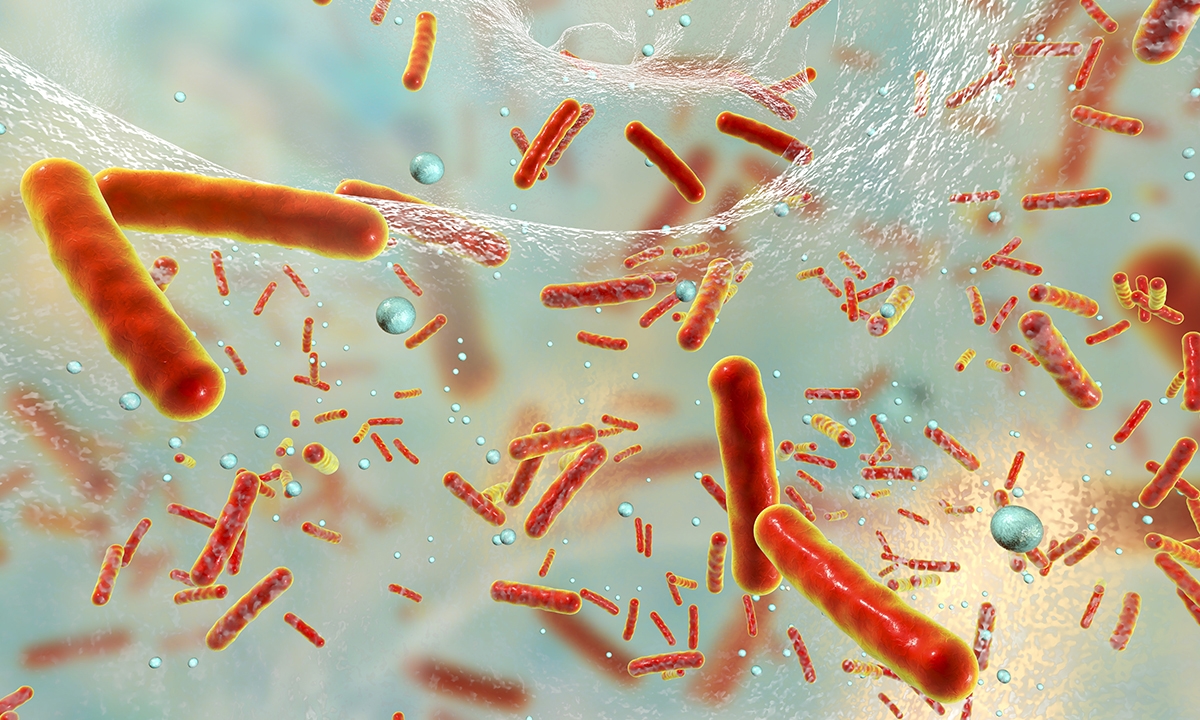 Global antibiotic shortage sparks “intriguing” finding - Featured Image