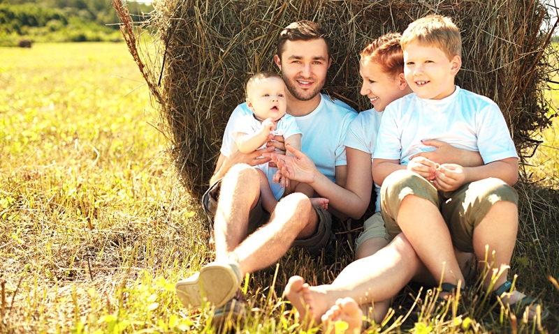 Haystack family