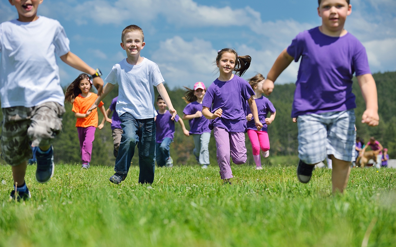 Health promoting schools a healthy child is a learning child 207