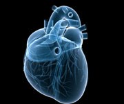 Heart medium