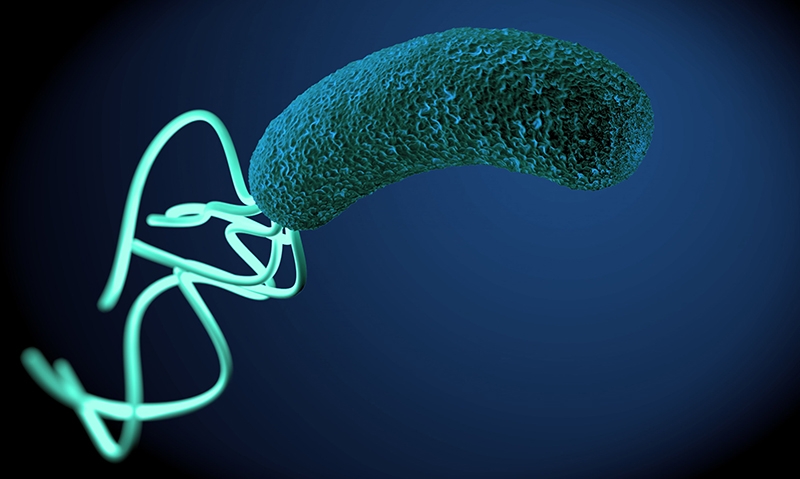 Helicobacter pylori