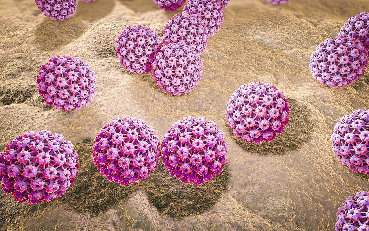 Importance of hpv vax and screening programs highlighted 978