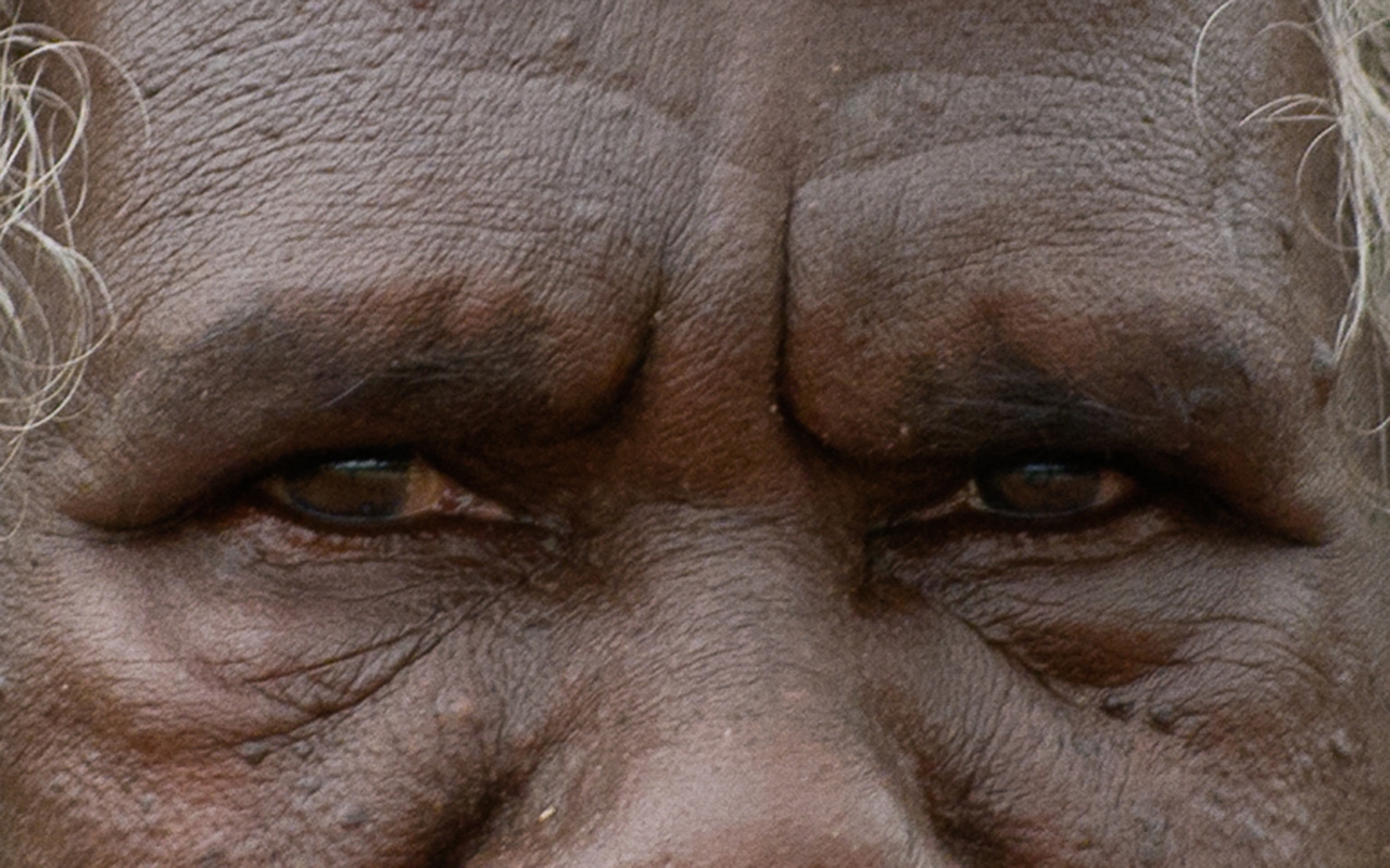 Indigenous eye health: time for government to put money up - Featured Image