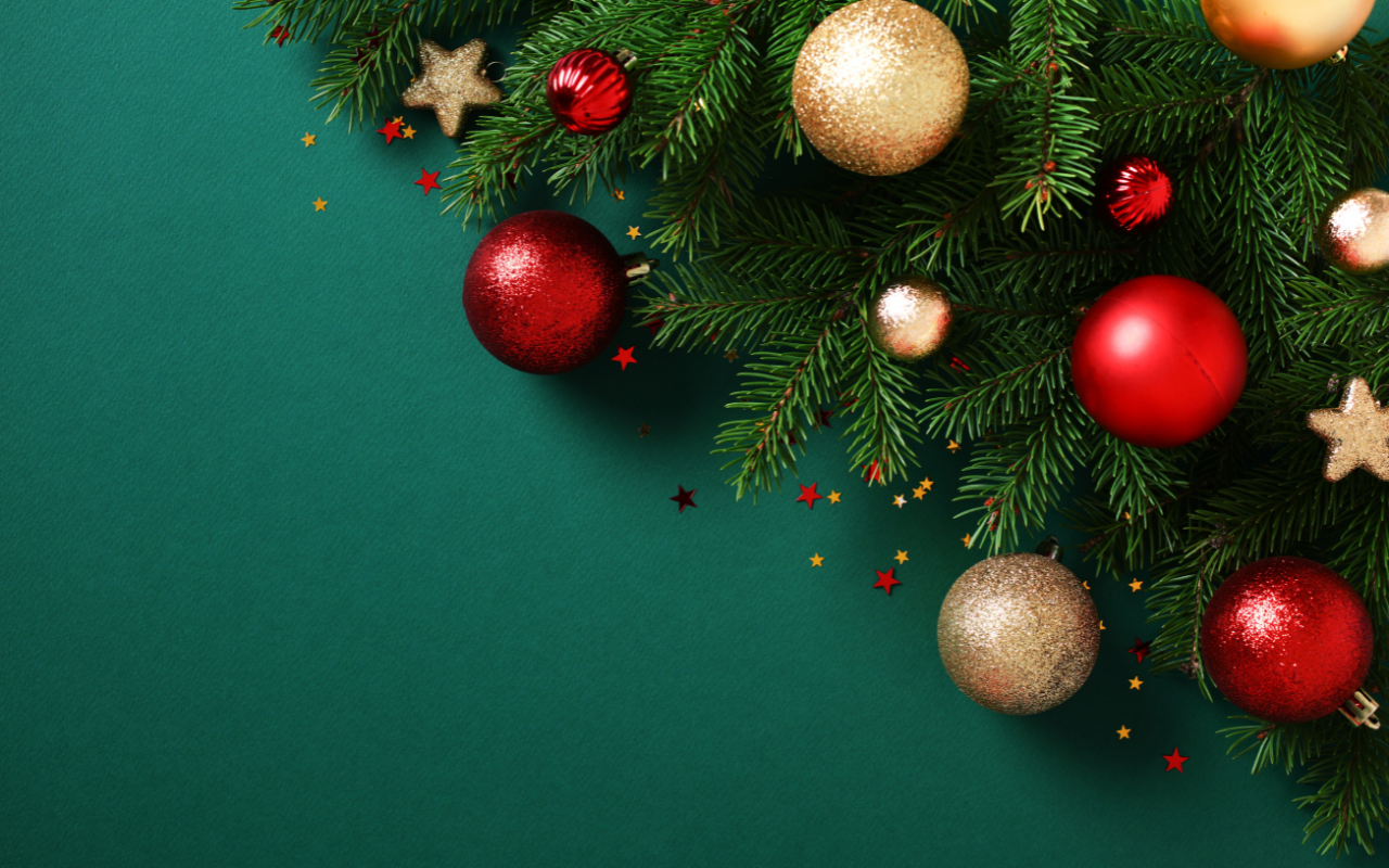 Signing off from the Insight+ team for 2024 - Featured Image