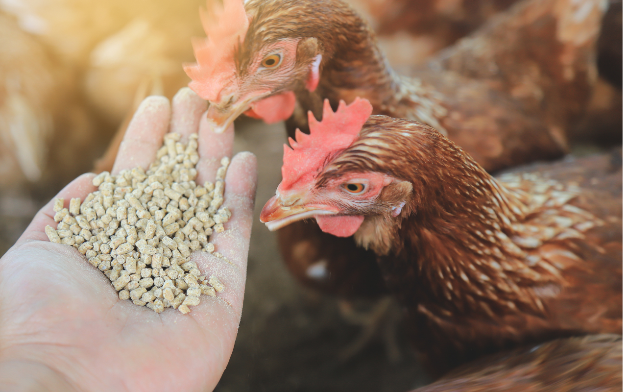 Lead image 2025 06 05 T141038 566