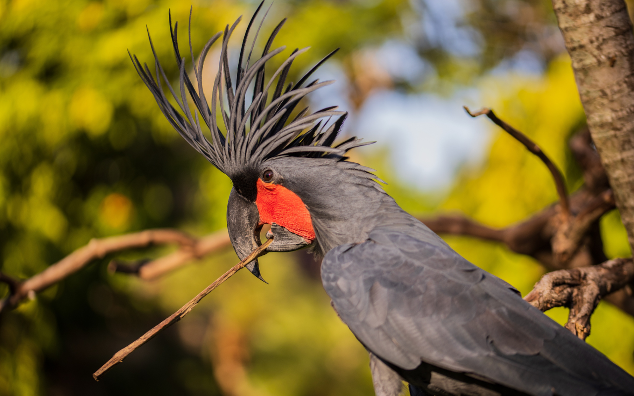 Lead image 2025 06 30 T092402 655