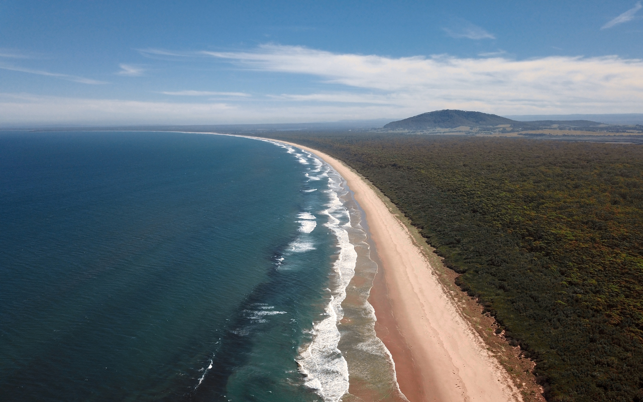 “Carving our path with spirit, strength and solidarity” - Featured Image