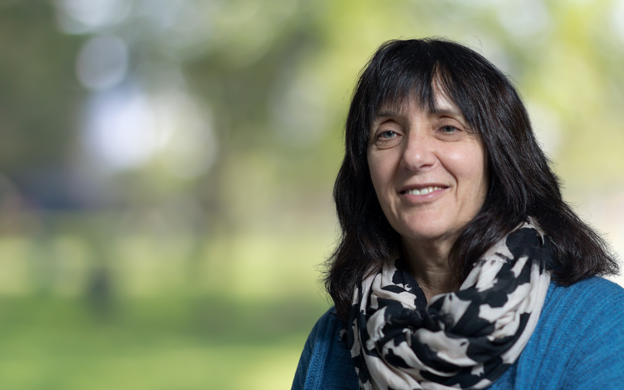 Complex Trauma and Trauma-Informed Care over 30 years - Featured Image