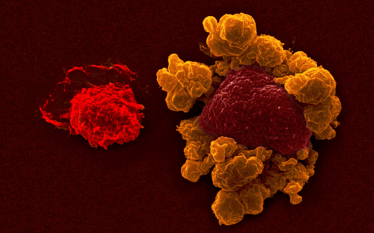 Lead image 2026 01 14 T084947 147