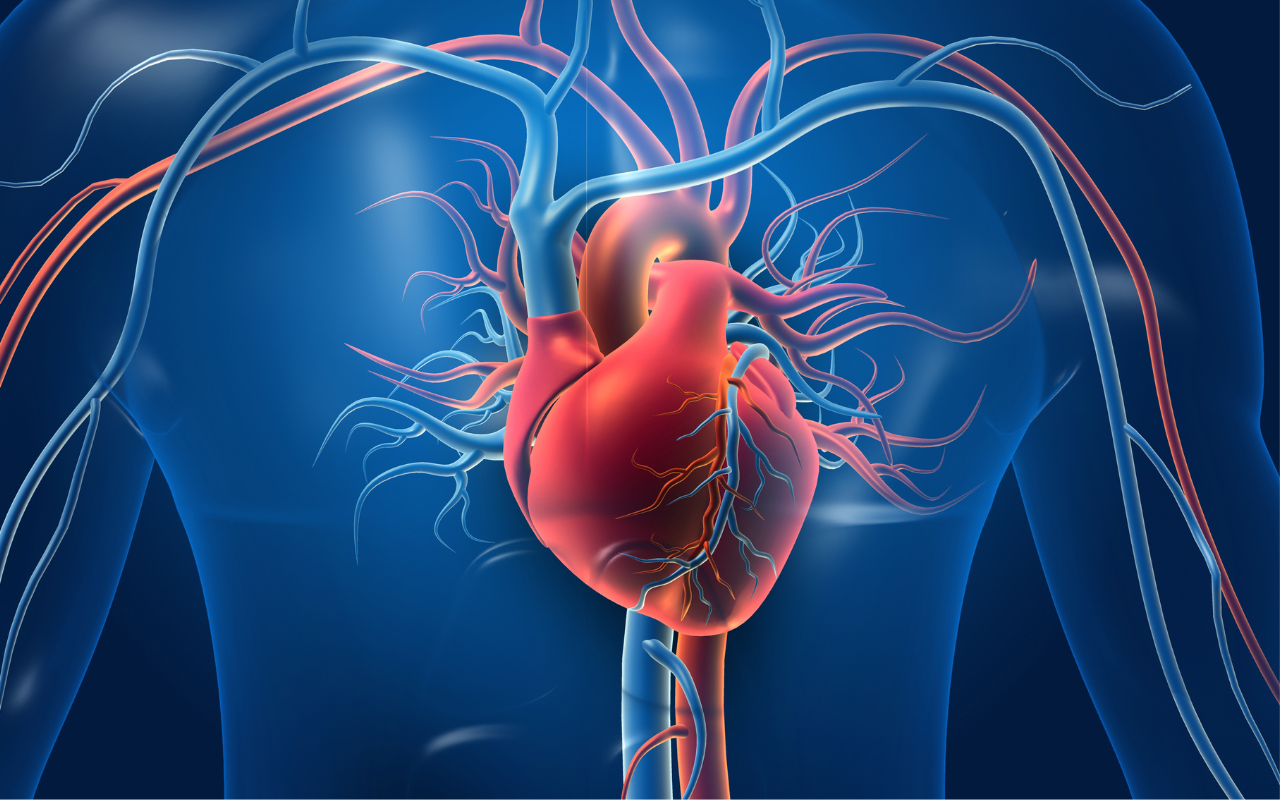 New guidelines for diagnosis and management of acute coronary syndromes - Featured Image