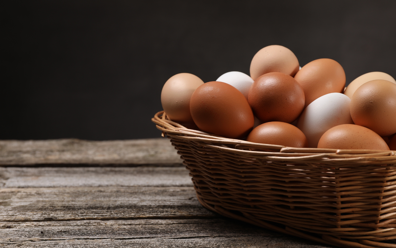 Egg allergy in children