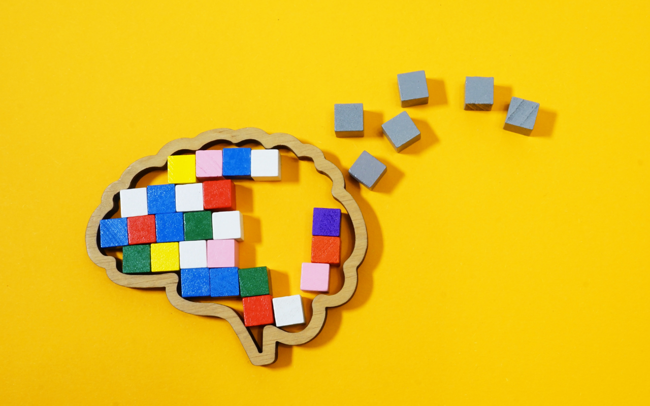 brain memory banks