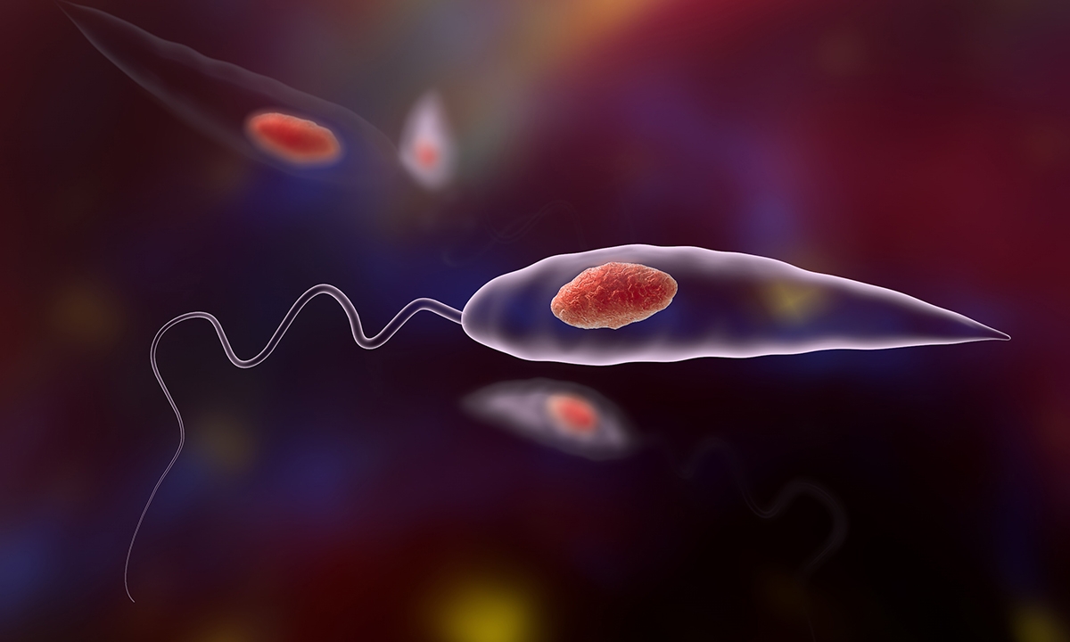 Leishmaniasis underfunding parasitology at our peril 860
