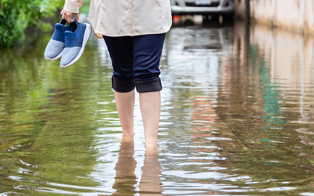 Leptospirosis history of animal contact vital for diagnosis 590