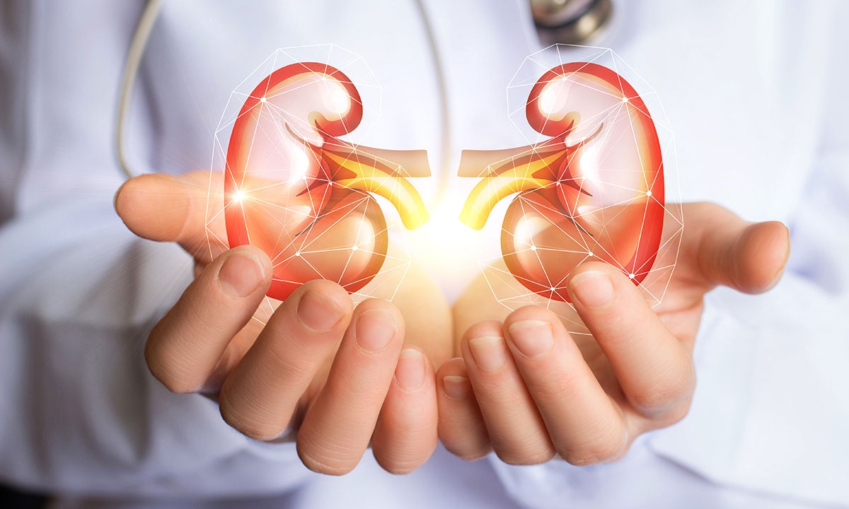 Making the most of every donated kidney 890