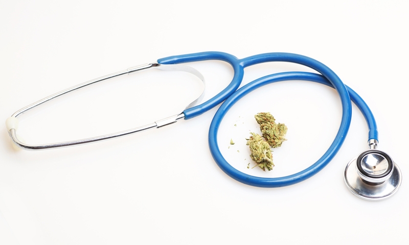 New plea for cannabis scripts - Featured Image