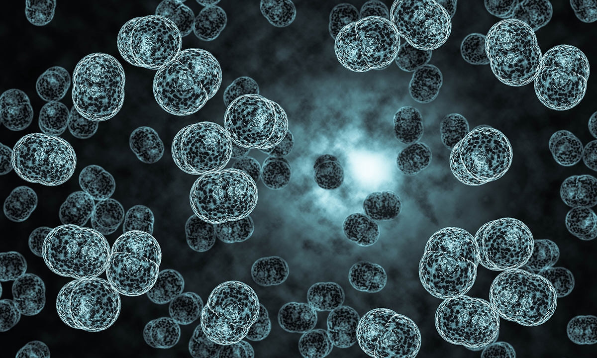 Meningococcal B vaccine: why aren’t we using it more? - Featured Image