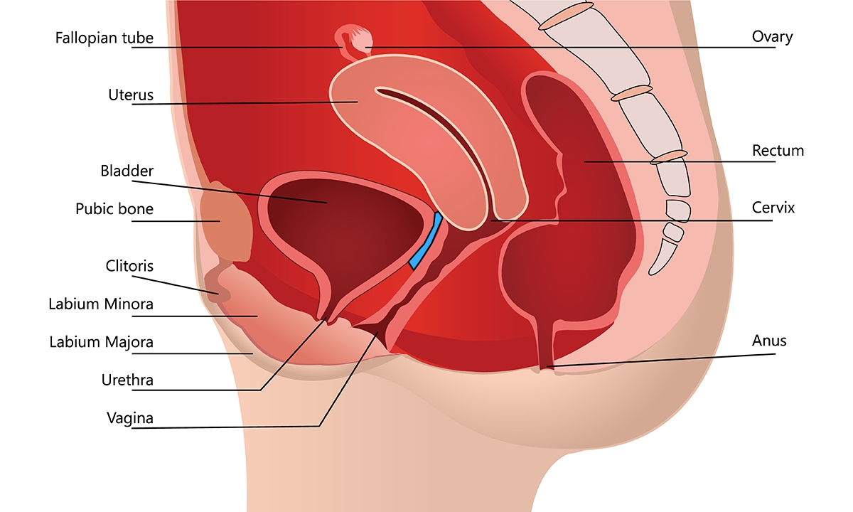 Mesh related-symptoms: be alert but not alarmed - Featured Image